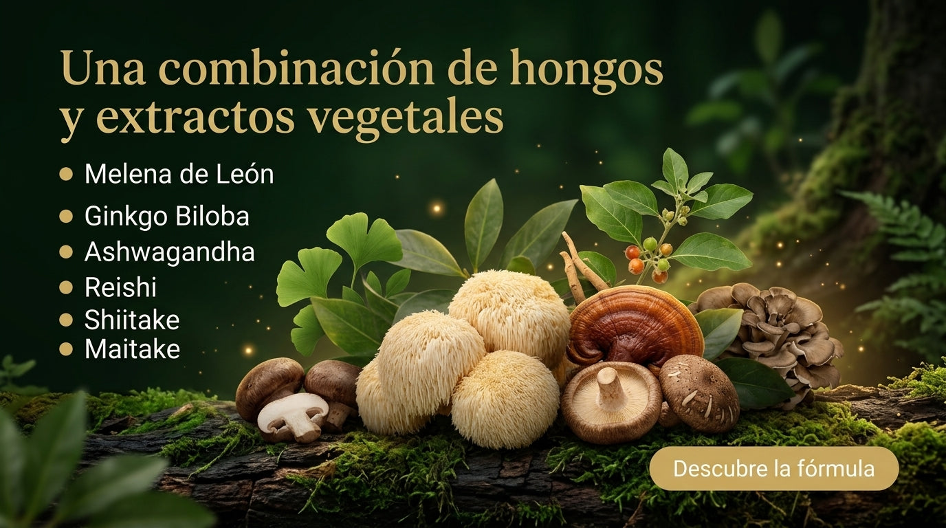 Una combinación de hongos y extractos vegetales